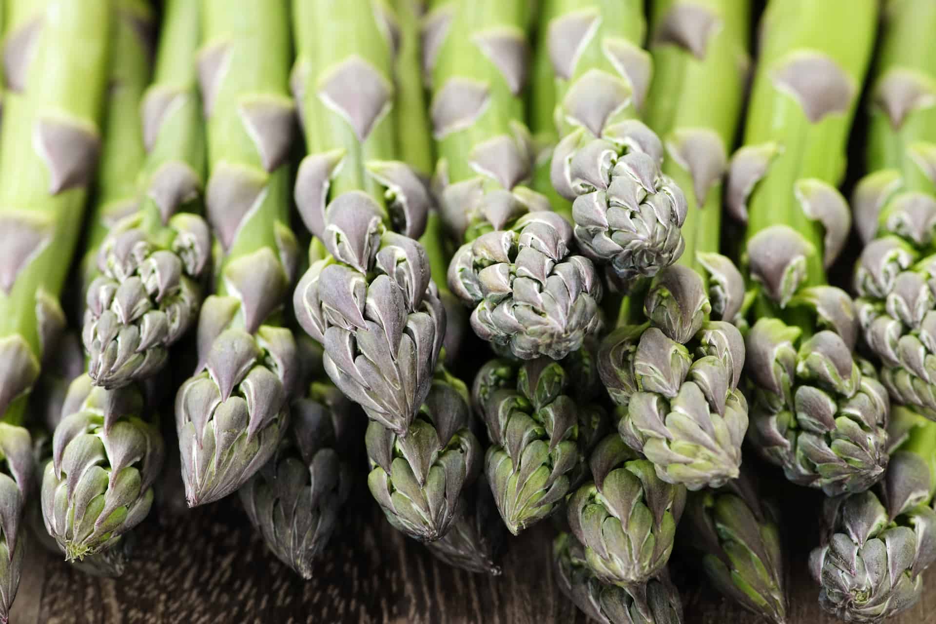 Farm-to-table-1