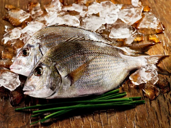 Wild Whole Porgy