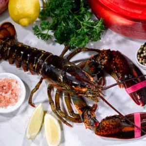 Live Cold Water Wild Lobsters