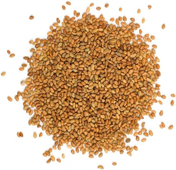 Alfalfa Seeds for Sprouting