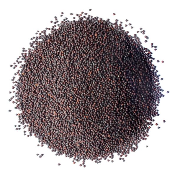 Broccoli Seeds for Sprouting