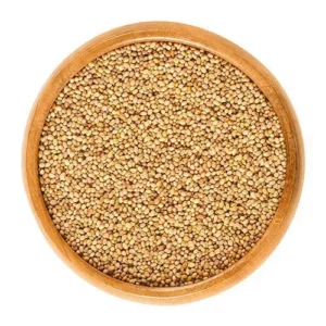 Clover Seeds for Sprouting