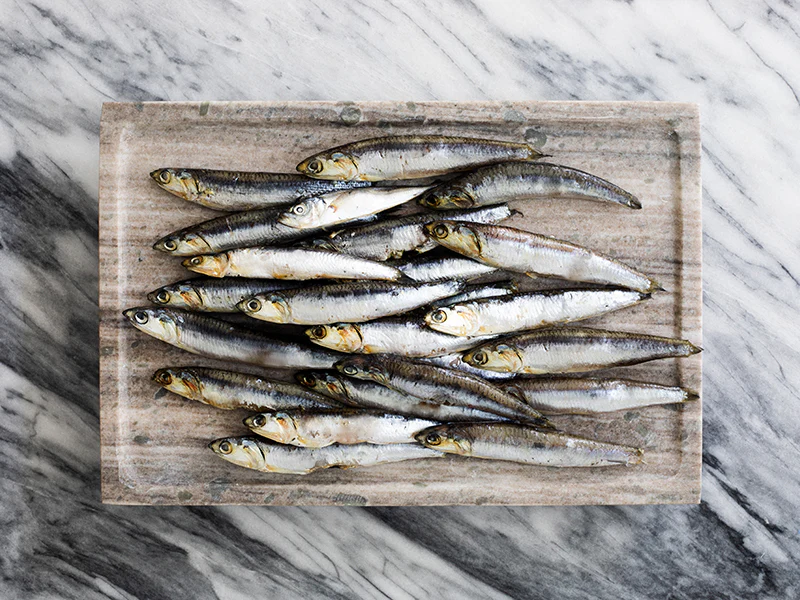 Wild Whole Anchovies - 15.87oz