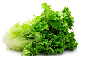 Green Leaf lettuce