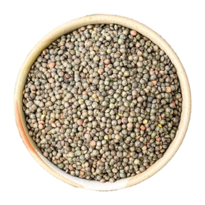 French-Style Green Lentil