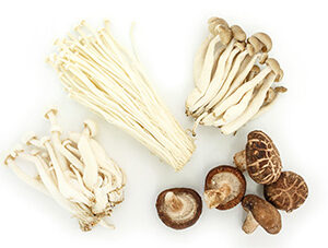Mushrooms