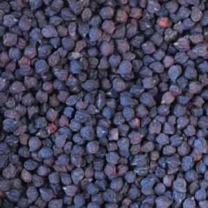 Black Garbanzo Bean