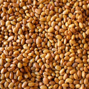 Buckeye Bean
