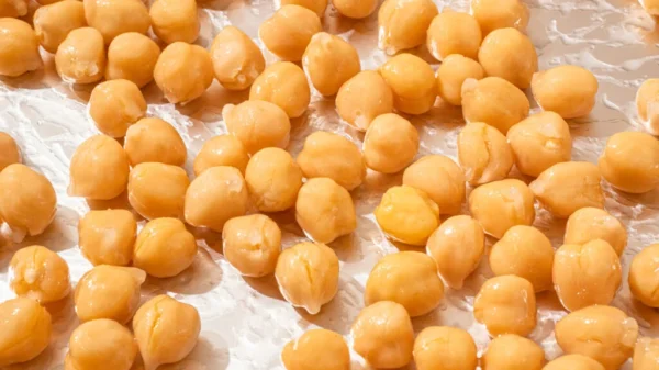 Garbanzo Bean (Chickpea)