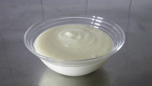Dehydrated Yogurt