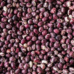 Good Mother Stallard Bean