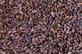 Rebosero Bean