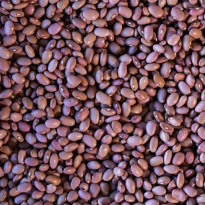 King City Pink Bean