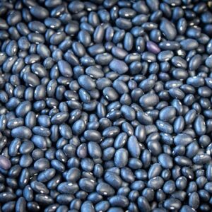 Midnight Black Bean