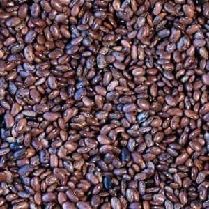 Moro Bean