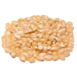 Popcorn White