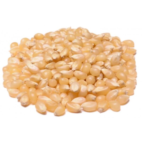 Popcorn White