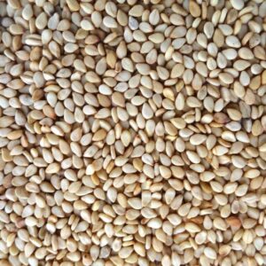 Sesame Seeds