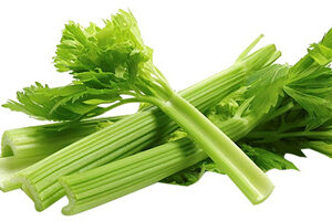 Celery
