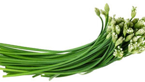 Garlic Stem