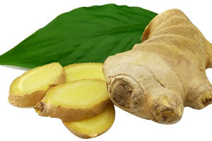 Ginger