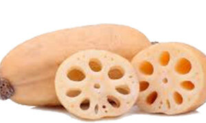 Lotus Root