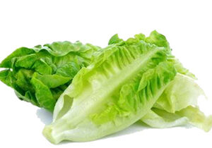 Romaine Lettuce